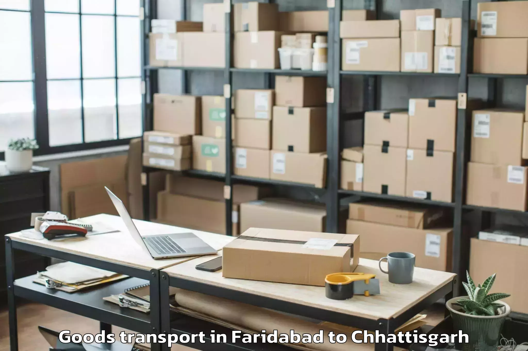 Easy Faridabad to Pandit Ravishankar Shukla Univ Goods Transport Booking